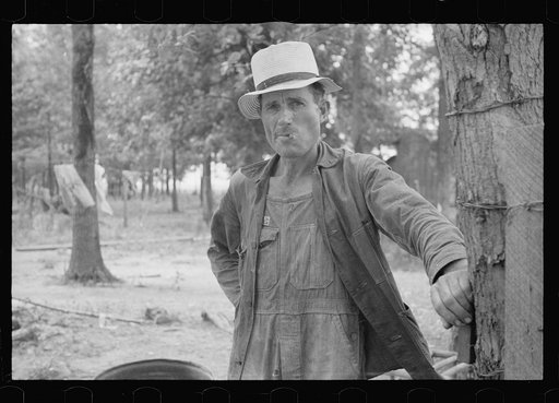 Sharecropper, Wilson cotton plantation, Arkansas