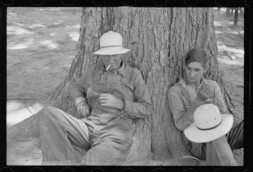 Untitled photo, possibly related to: Lunchtime, Pulaski County, Arkansas