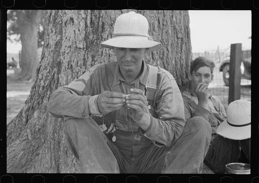 Untitled photo, possibly related to: Lunchtime, Pulaski County, Arkansas