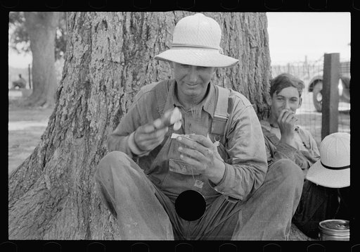 Untitled photo, possibly related to: Lunchtime, Pulaski County, Arkansas