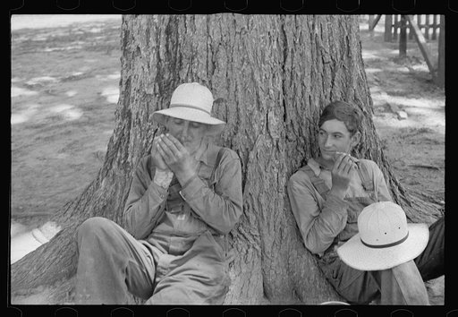 Lunchtime, Pulaski County, Arkansas