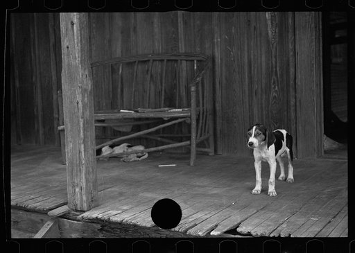 Untitled photo, possibly related to: Daughter of a sharecropper, Lauderdale County, Mississippi