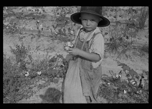 Son of a cotton sharecropper, Lauderdale County, Mississippi