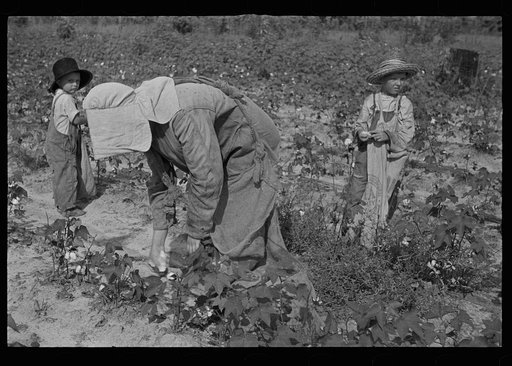 Untitled photo, possibly related to: Son of a cotton sharecropper, Lauderdale County, Mississippi