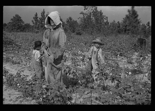 Untitled photo, possibly related to: Son of a cotton sharecropper, Lauderdale County, Mississippi