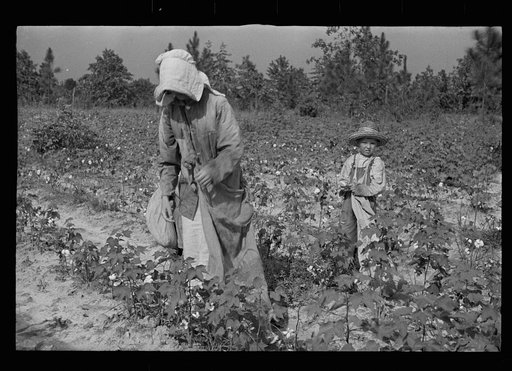 Untitled photo, possibly related to: Son of a cotton sharecropper, Lauderdale County, Mississippi