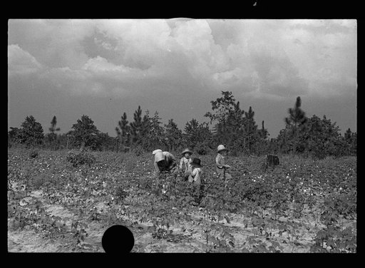 Untitled photo, possibly related to: Son of a cotton sharecropper, Lauderdale County, Mississippi