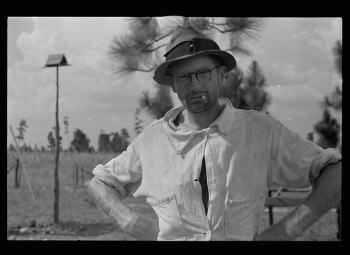Cotton sharecropper, Lauderdale County, Mississippi