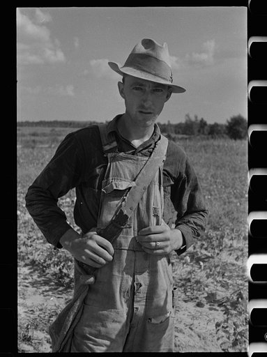Cotton picker, Lauderdale County, Mississippi