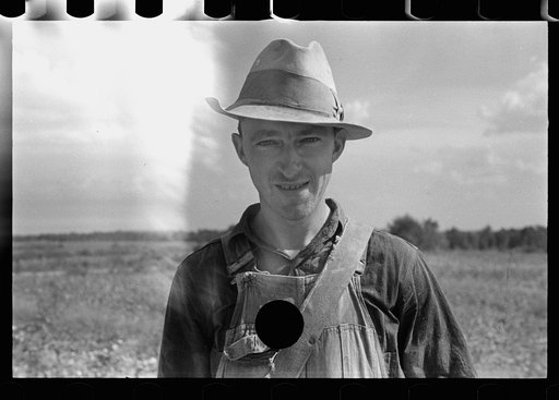 Untitled photo, possibly related to: Cotton picker, Lauderdale County, Mississippi