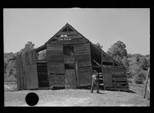 Untitled photo, possibly related to: Tenant farmer with mule which has been given to him by the Resettlement Administration, Lee County, Mississippi