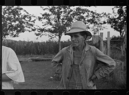 Untitled photo, possibly related to: Tenant farmer with mule given him by the Resettlement Administration, Plaquemines Parish, Louisiana