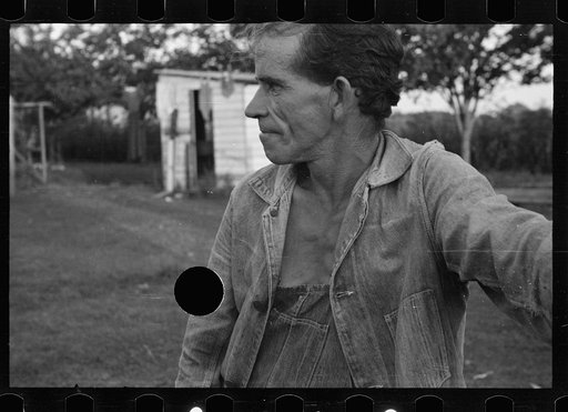 Untitled photo, possibly related to: Tenant farmer with mule given him by the Resettlement Administration, Plaquemines Parish, Louisiana