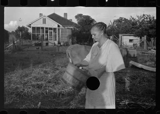 Untitled photo, possibly related to: Tenant farmer with mule given him by the Resettlement Administration, Plaquemines Parish, Louisiana