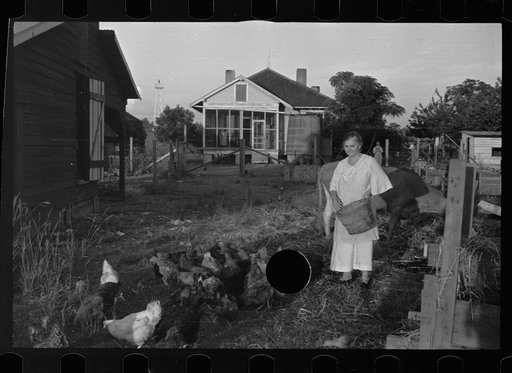 Untitled photo, possibly related to: Tenant farmer with mule given him by the Resettlement Administration, Plaquemines Parish, Louisiana