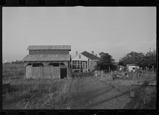 Untitled photo, possibly related to: Tenant farmer with mule given him by the Resettlement Administration, Plaquemines Parish, Louisiana
