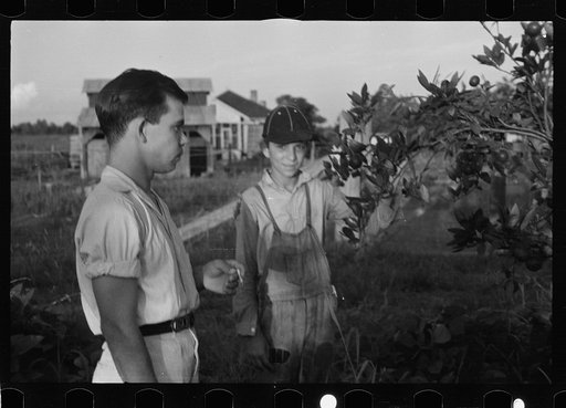 Untitled photo, possibly related to: Tenant farmer with mule given him by the Resettlement Administration, Plaquemines Parish, Louisiana