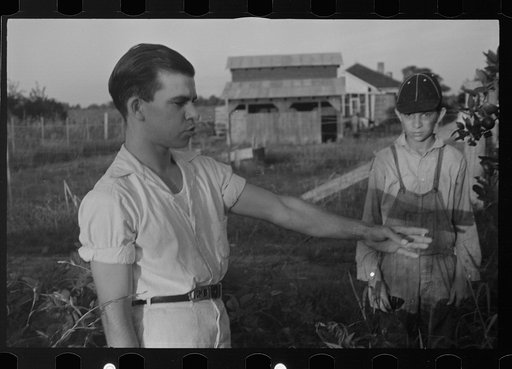 Untitled photo, possibly related to: Tenant farmer with mule given him by the Resettlement Administration, Plaquemines Parish, Louisiana