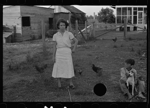 Untitled photo, possibly related to: Tenant farmer with mule given him by the Resettlement Administration, Plaquemines Parish, Louisiana
