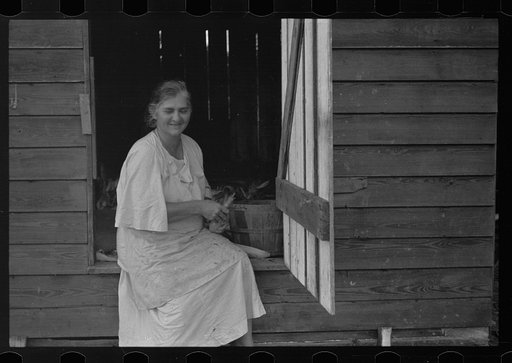 Untitled photo, possibly related to: Tenant farmer with mule given him by the Resettlement Administration, Plaquemines Parish, Louisiana