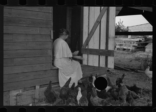 Untitled photo, possibly related to: Tenant farmer with mule given him by the Resettlement Administration, Plaquemines Parish, Louisiana