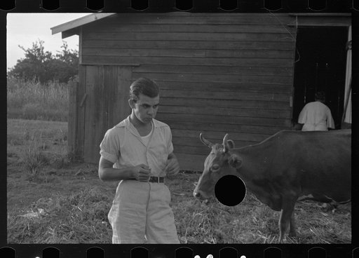 Untitled photo, possibly related to: Tenant farmer with mule given him by the Resettlement Administration, Plaquemines Parish, Louisiana