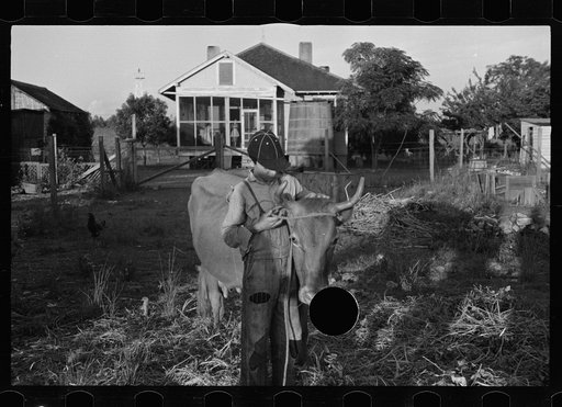 Untitled photo, possibly related to: Tenant farmer with mule given him by the Resettlement Administration, Plaquemines Parish, Louisiana