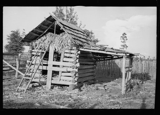 Barn of a Negro rehabilitation client, Tangipahoa Parish, Louisiana
