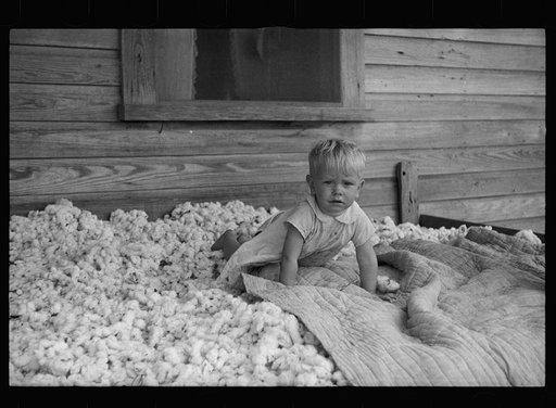Son of sharecropper who will be resettled on the Irwinville Farms Project, Georgia
