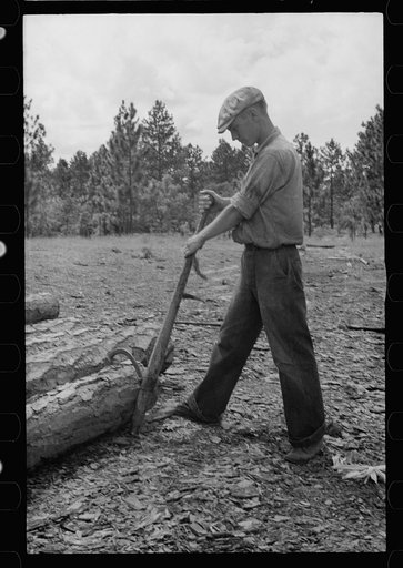 Untitled photo, possibly related to: Sawmill worker, Irwin County, Georgia