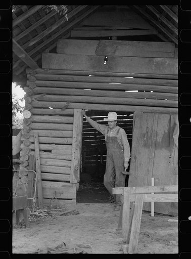 Untitled photo, possibly related to: Blacksmith, Irwin County, Georgia