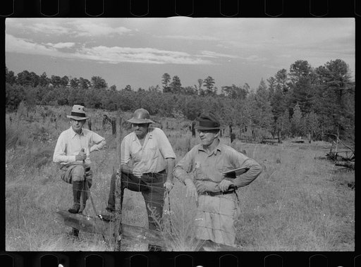 Untitled photo, possibly related to: Slaughtering a bull, Grady County, Georgia