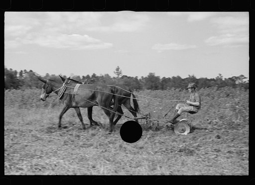 Untitled photo, possibly related to: Young resettlement farmer with harrow, Grady County, Georgia