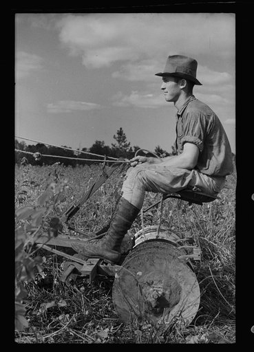Young resettlement farmer with harrow, Grady County, Georgia