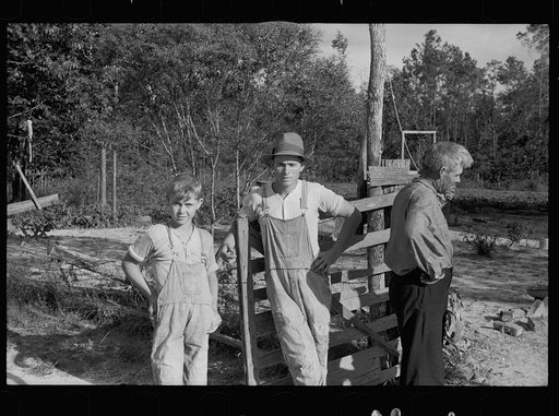Untitled photo, possibly related to: Resettled farmer who has failed to cooperate with Wolf Creek Farm Project, Georgia