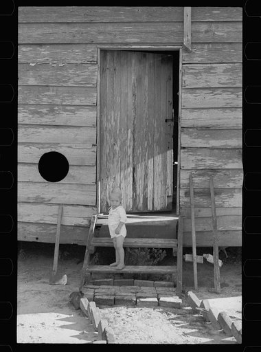 Untitled photo, possibly related to: Resettled farmer who has failed to cooperate with Wolf Creek Farm Project, Georgia