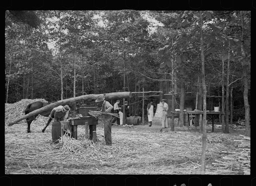 Untitled photo, possibly related to: Fuquay Springs, North Carolina. Pressing sorghum cane