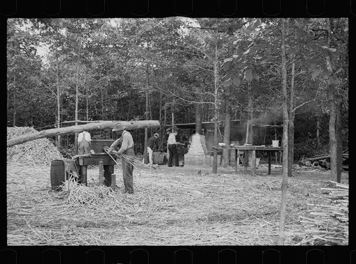 Untitled photo, possibly related to: Fuquay Springs, North Carolina. Pressing sorghum cane