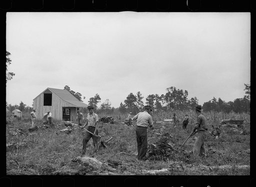 Clearing land, North Carolina, Penderlea Homesteads