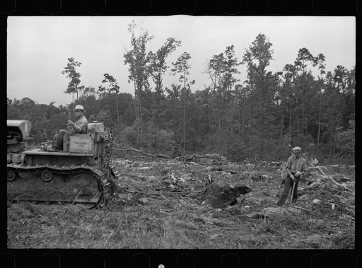 Untitled photo, possibly related to: Tractor being used to clear land, Pender County, North Carolina