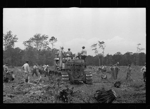 Untitled photo, possibly related to: Tractor being used to clear land, Pender County, North Carolina