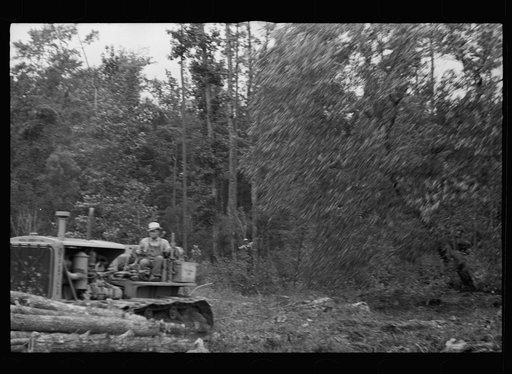 Untitled photo, possibly related to: Tractor being used to clear land, Pender County, North Carolina