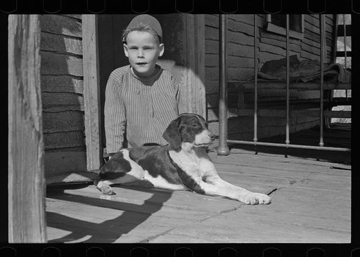 Son of Fannie Corbin, Shenandoah Natlional Park, Virginia