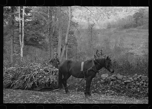 Untitled photo, possibly related to: Man from Nicholson Hollow with one of the few horses, Shenandoah National Park, Virginia