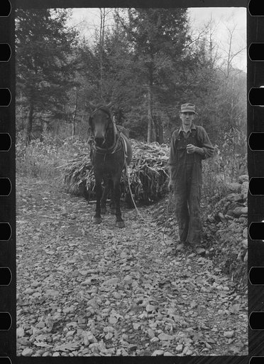 Untitled photo, possibly related to: Man from Nicholson Hollow with one of the few horses, Shenandoah National Park, Virginia