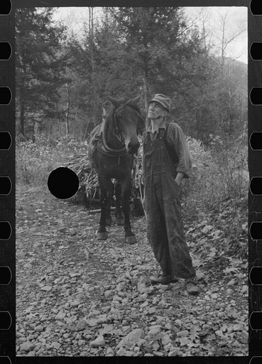 Untitled photo, possibly related to: Man from Nicholson Hollow with one of the few horses, Shenandoah National Park, Virginia