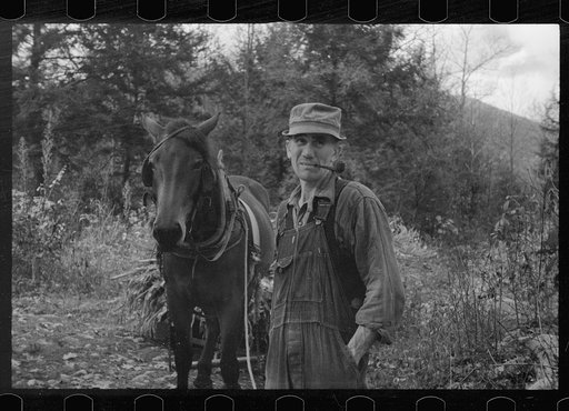 Man from Nicholson Hollow with one of the few horses, Shenandoah National Park, Virginia