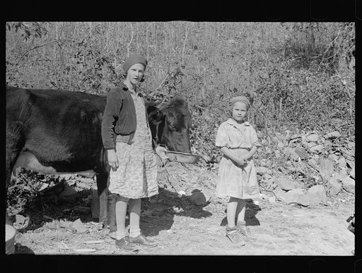 Two of the Nicholson children and their only cow, Shenandoah National Park, Virginia