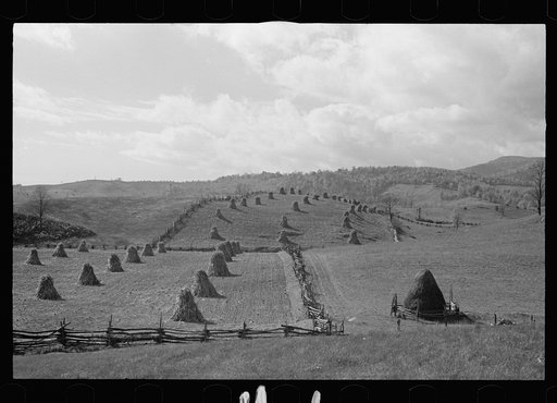 Fields near Sperryville, Virginia
