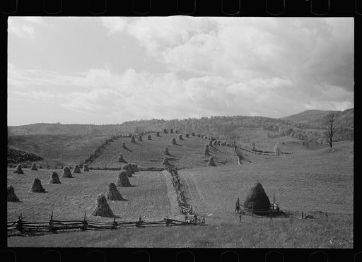 Untitled photo, possibly related to: Fields near Sperryville, Virginia